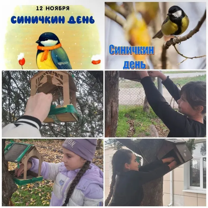 WhatsApp Image 2025-11-16 at 9.32.06 PM